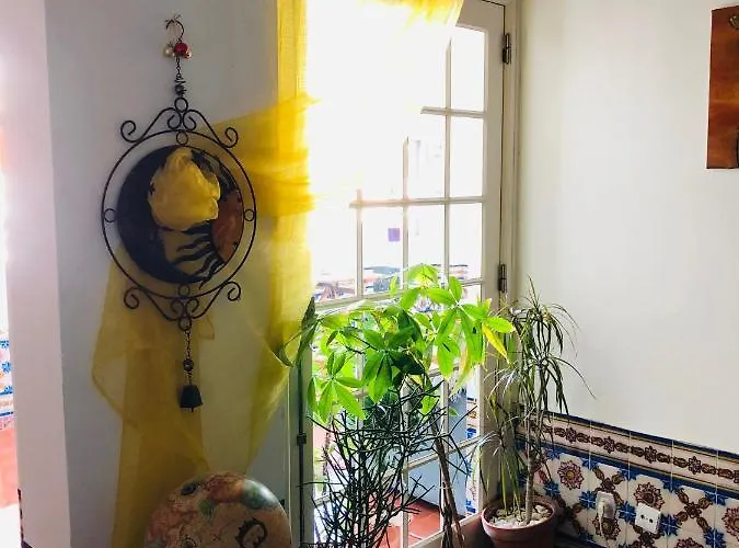 Maria * 阿尔布费拉