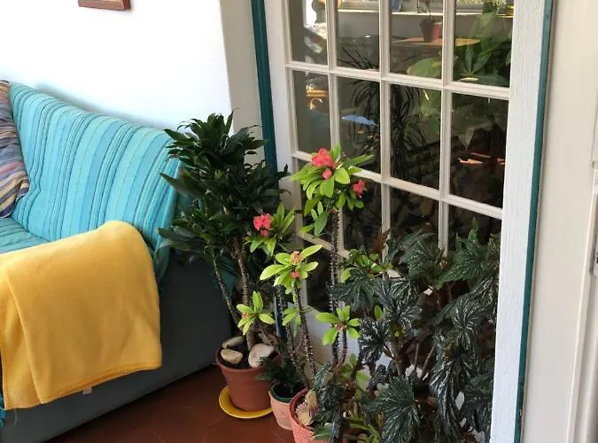 Maria * 阿尔布费拉