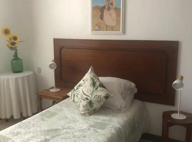 Maria 阿尔布费拉