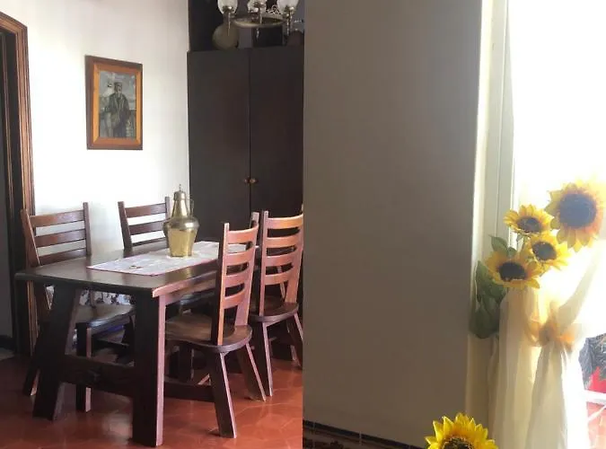 Maria アルブフェイラ